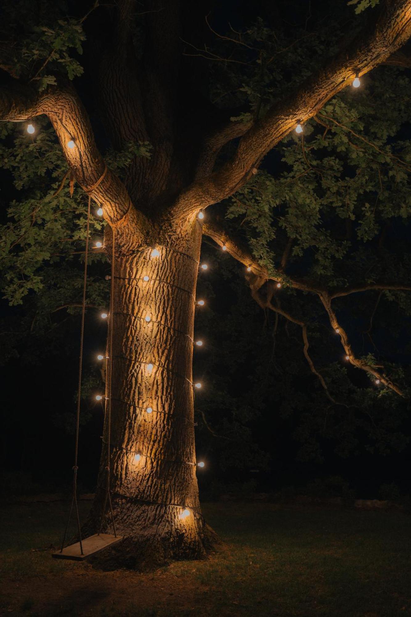 Folwark Wielka Wies - Palac Pod Debem Glowczyce Exteriér fotografie